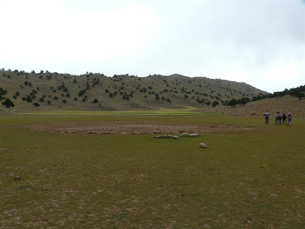 image 51