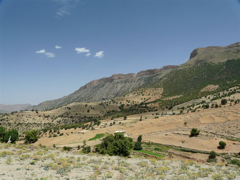 image 63