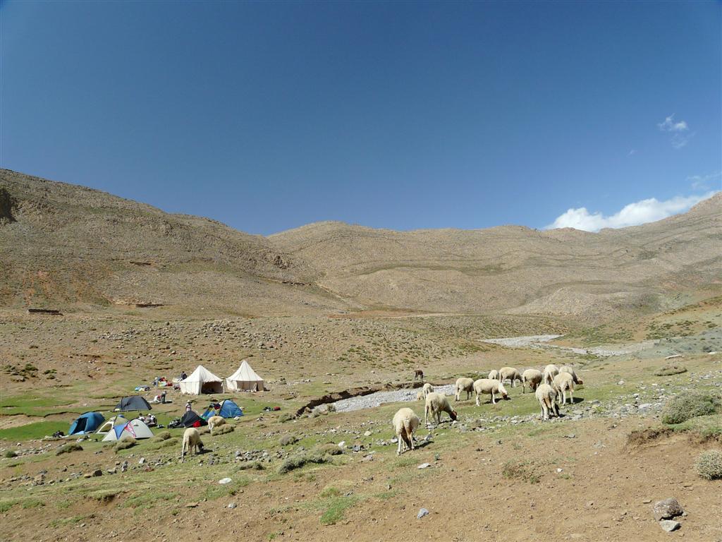 Bivouac en face du Djebel Azourki. Sad part au village et revient plusieurs heures aprs,  pied, un gros carton dans les bras. Nous sommes toujours aussi perplexes,