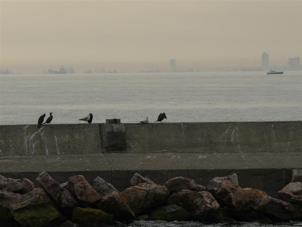 image 72