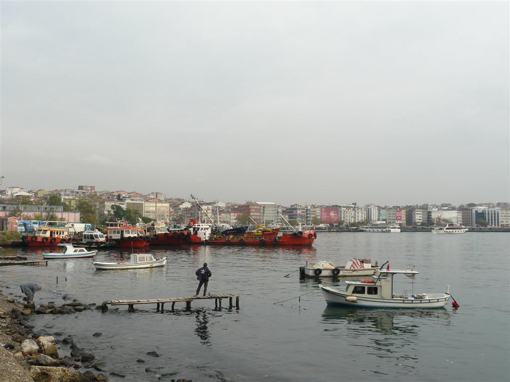 image 76